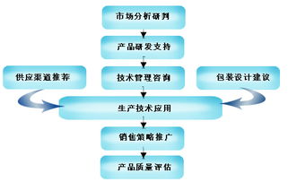 申美飲料 全面服務(wù)支持與市場(chǎng)營(yíng)銷策劃策略